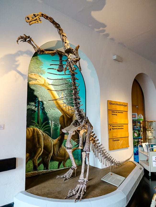 Ottoneum Kassel innen