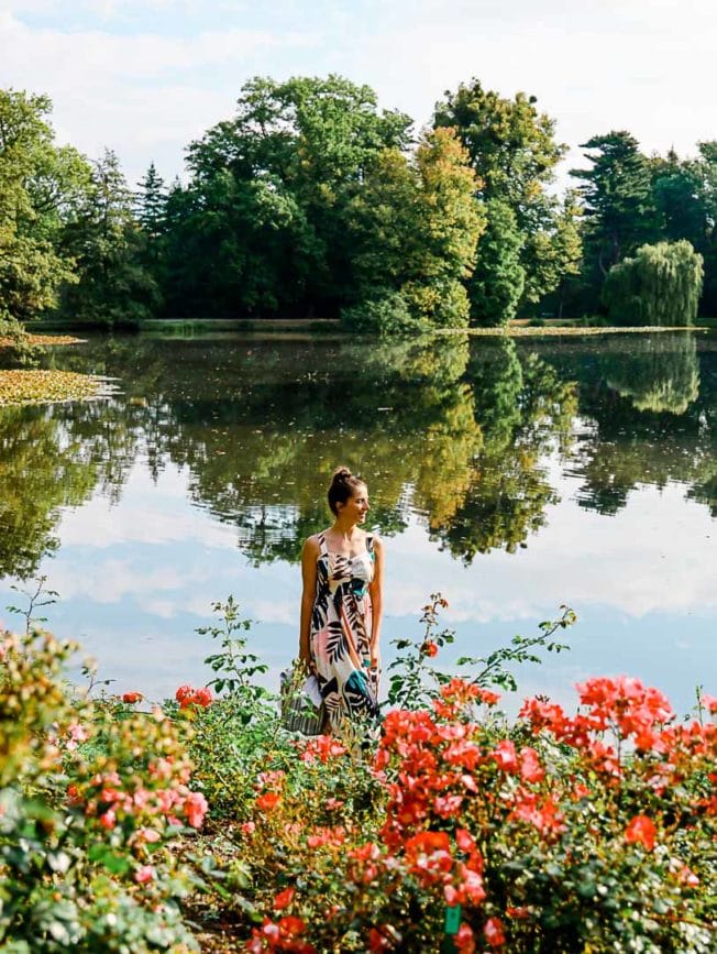 Roseninsel Bergpark Wilhelmshöhe 2
