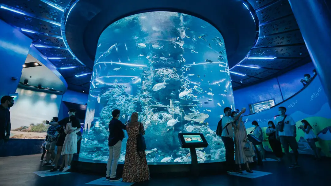 S.E.A. Aquarium