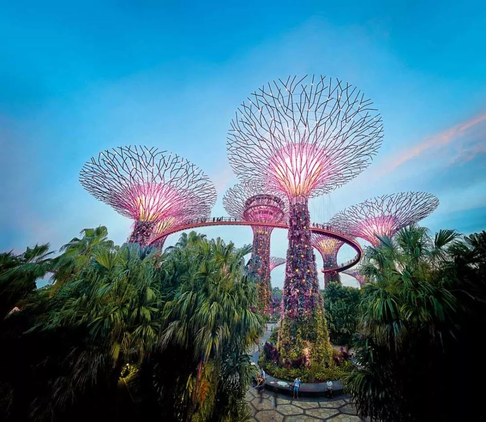 supertrees singapur
