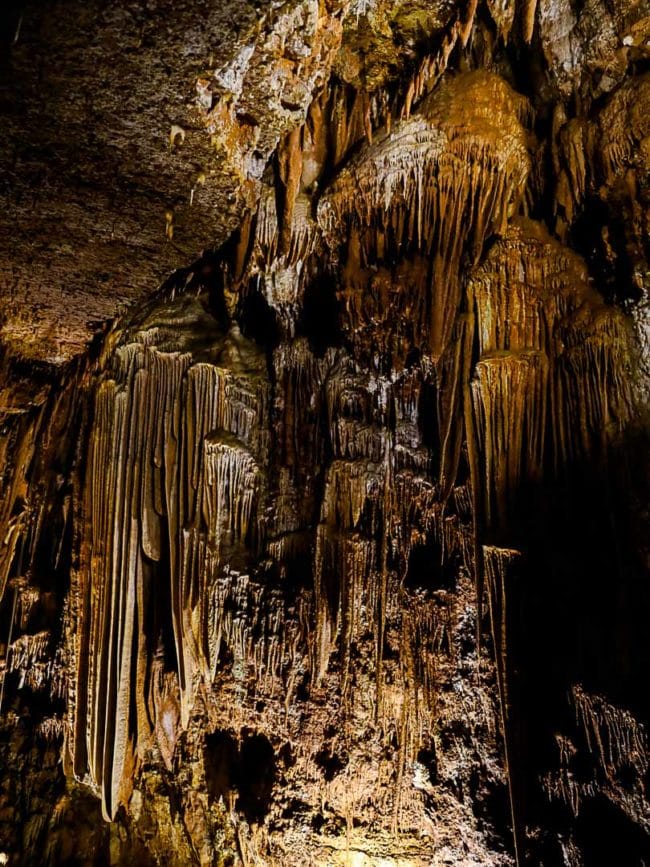 Istrien Tropfsteinhöhle Baredine Stalaktiten