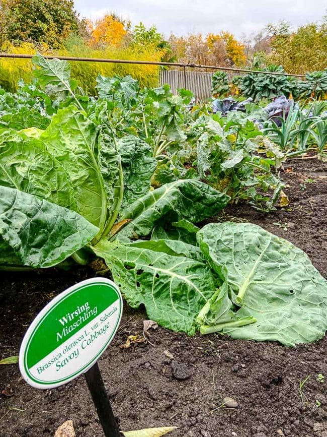 Bamberg Gärtner- und Häckermuseum 4