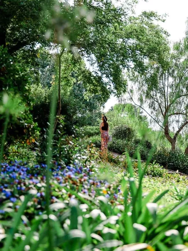 zadar queen jelena madijevka park