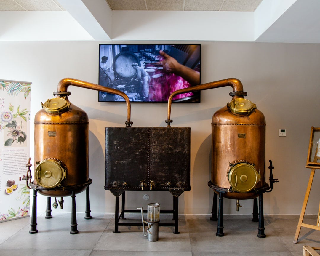 grasse parfumherstellung fuehrung