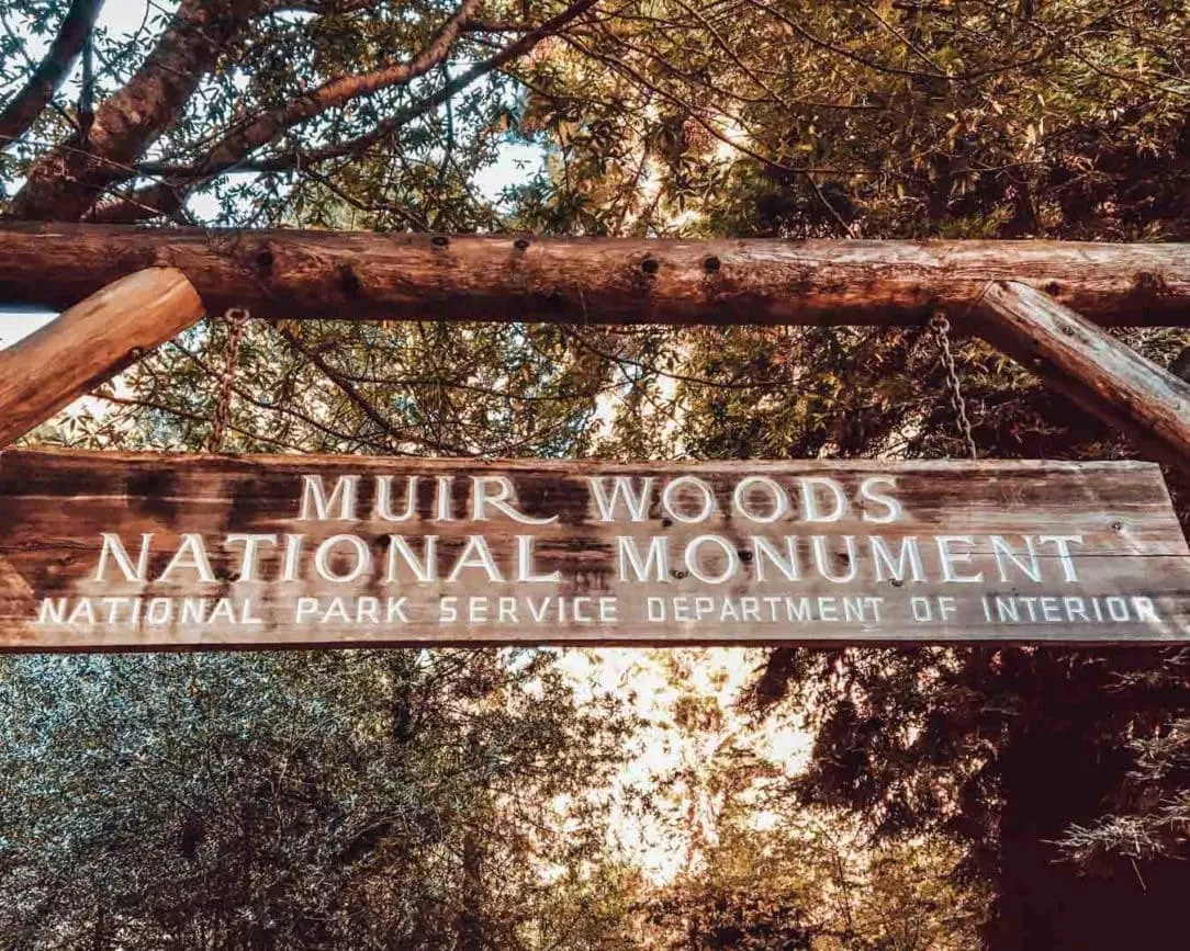 San Francisco Muir Woods National Monument