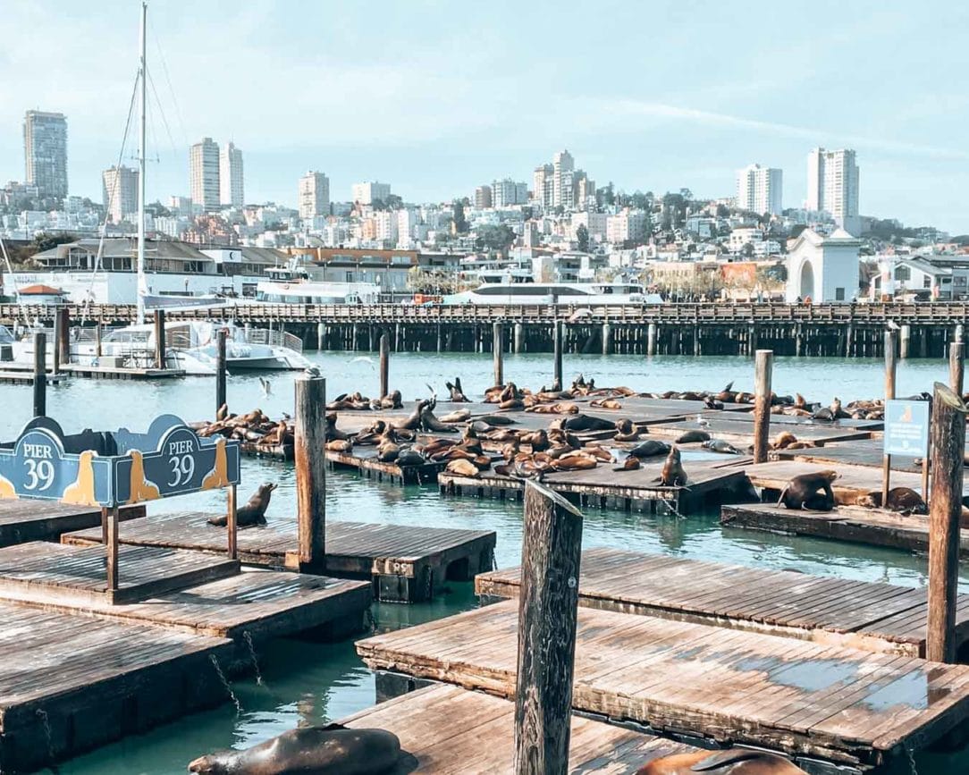 san francisco pier 39