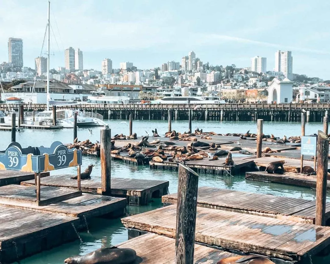 San Francisco Pier 39