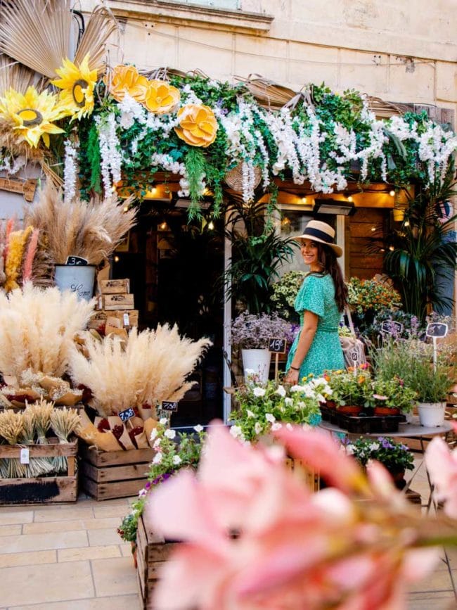 suedfrankreich avignon altstadt