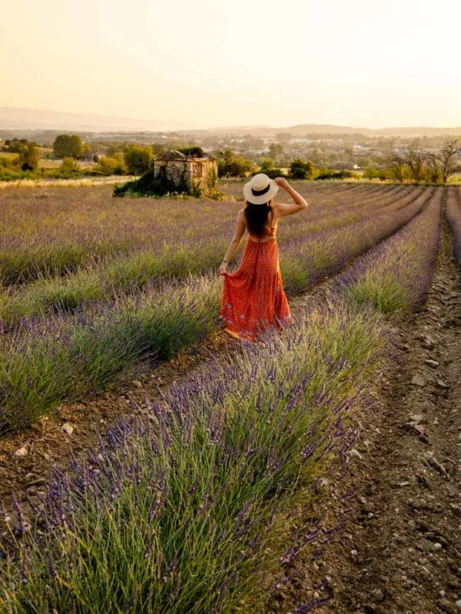 suedfrankreich luberon suedfrankreich Luberon