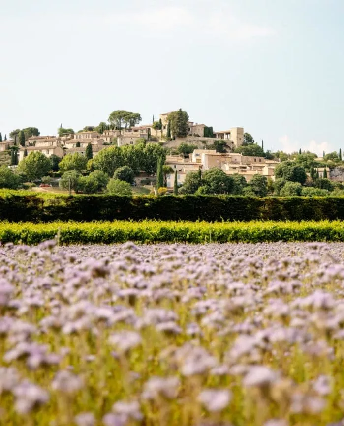 suedfrankreich luberon bergdorf suedfrankreich Luberon Bergdorf