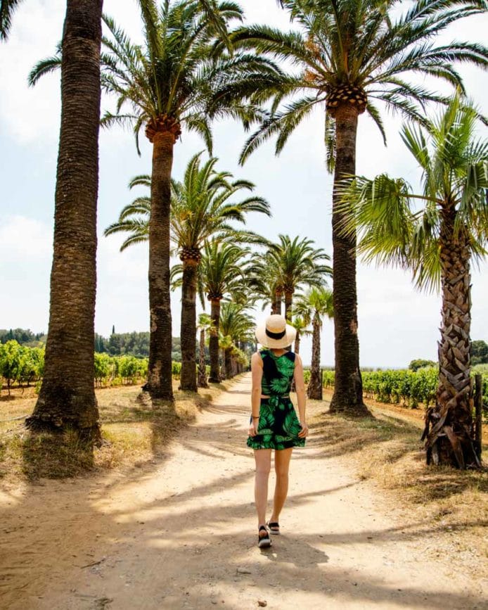 suedfrankreich roadtrip kuestenstrasse d559