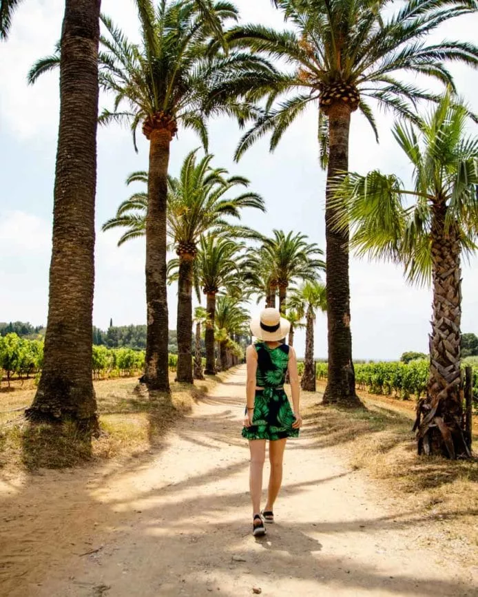 suedfrankreich roadtrip kuestenstrasse d559 suedfrankreich roadtrip Küstenstraße D559