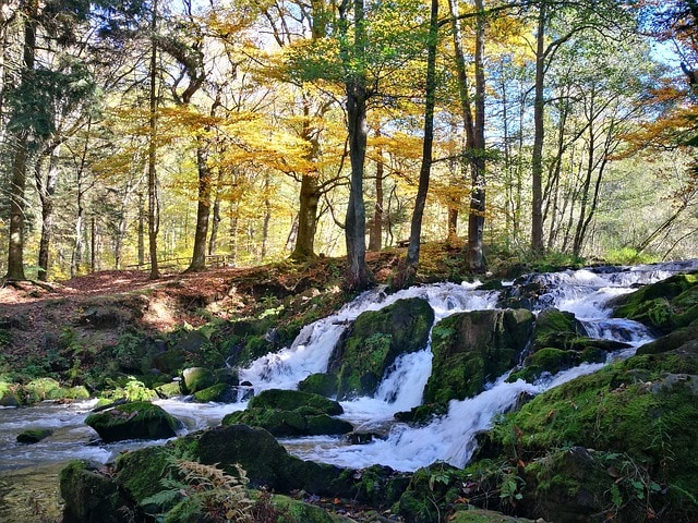 ‪Sachsen Anhalt Selkefall