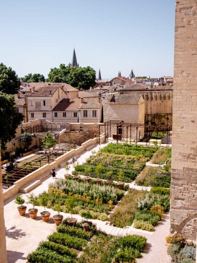 avignon garten papstpalast