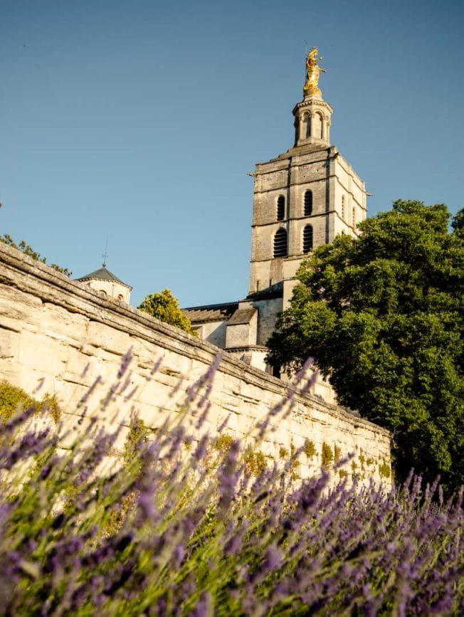 avignon kirchturm