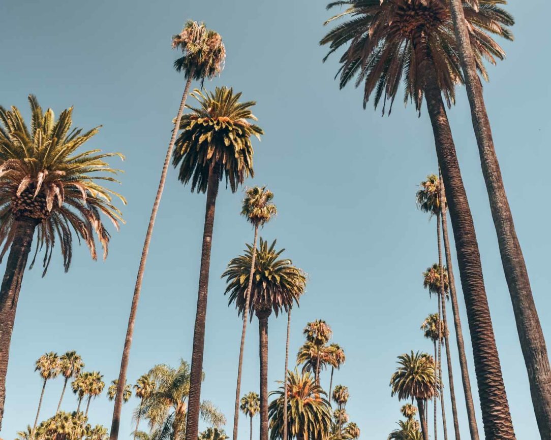 los angeles mulholland drive plamen