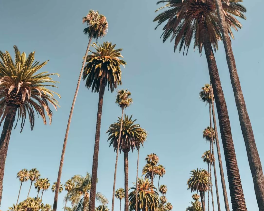 Los Angeles Mulholland Drive plamen