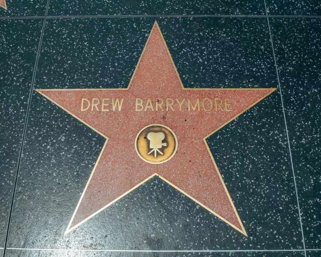 Los Angeles Walk of Fame 2