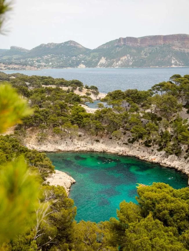 provence calanques nationalpark calanque de port pin provence calanques nationalpark calanque de port pin