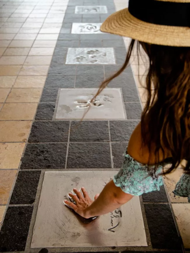 provence cannes walk of fame provence cannes walk of fame