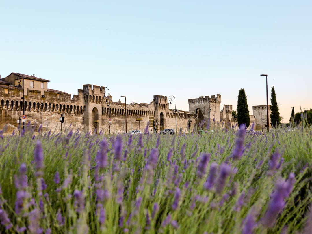 Avignon Frankreich Sehenswürdigkeiten