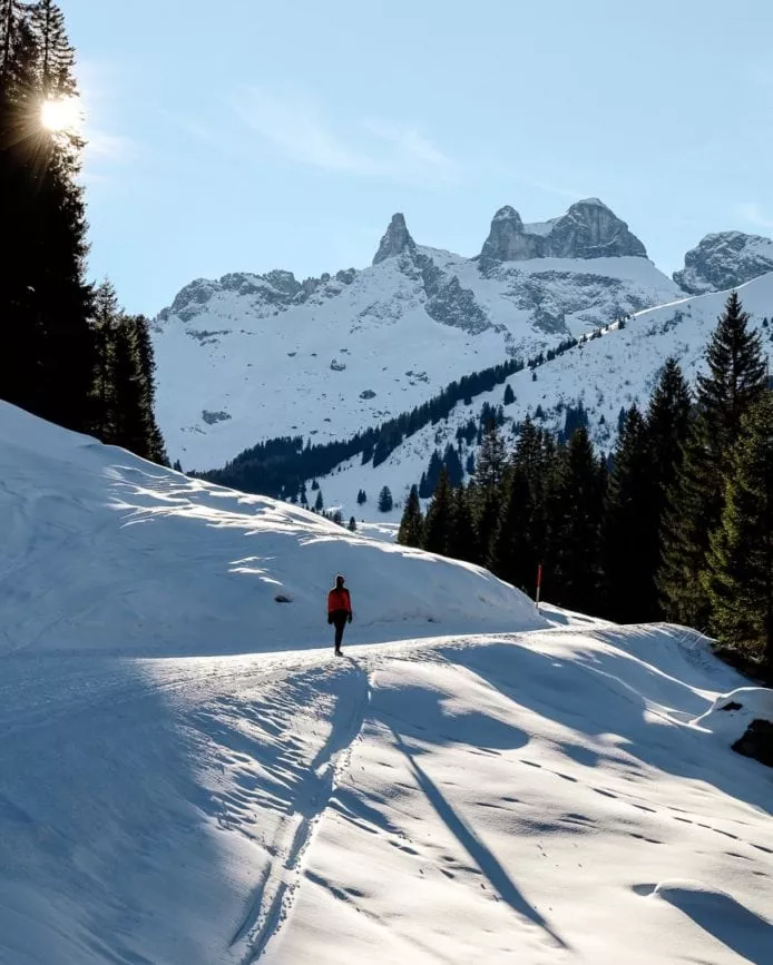 montafon winter skigebiet 101 von 115