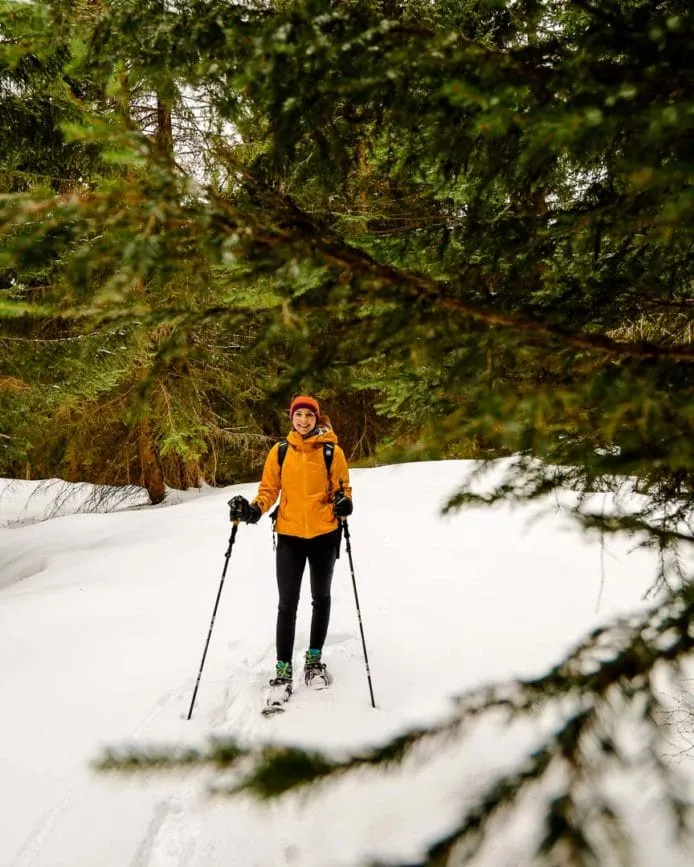 montafon winter skigebiet 77 von 115
