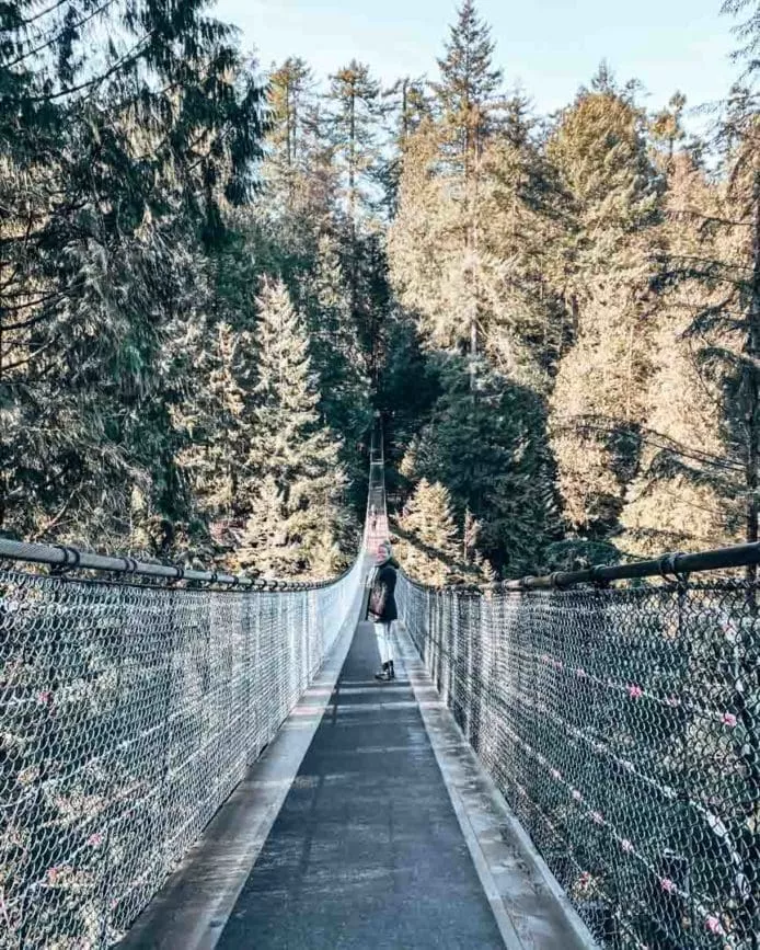 Vancouver Capilano Suspension Bridge Park