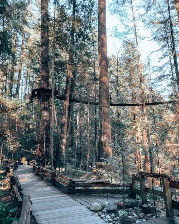 Vancouver Capilano Suspension Bridge Park hängebrücke