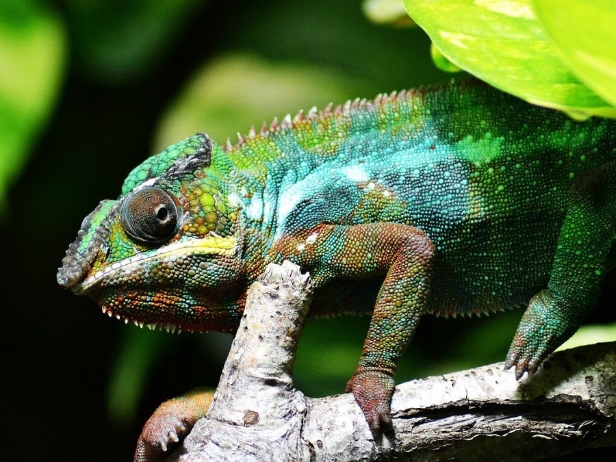 brandenburg biosphaere potsdam