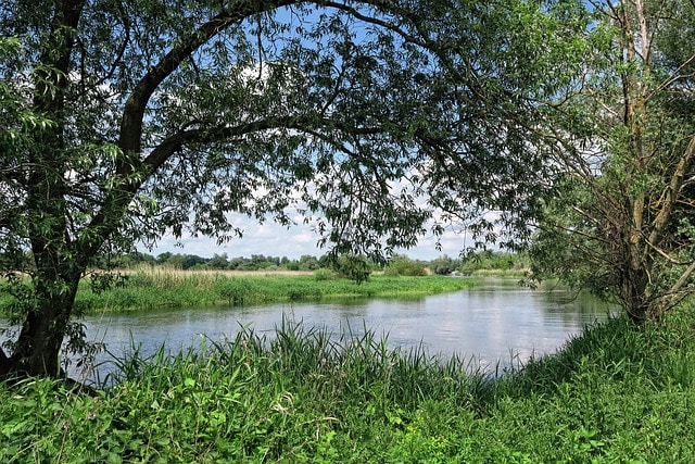 Brandenburg Naturpark Westhavelland