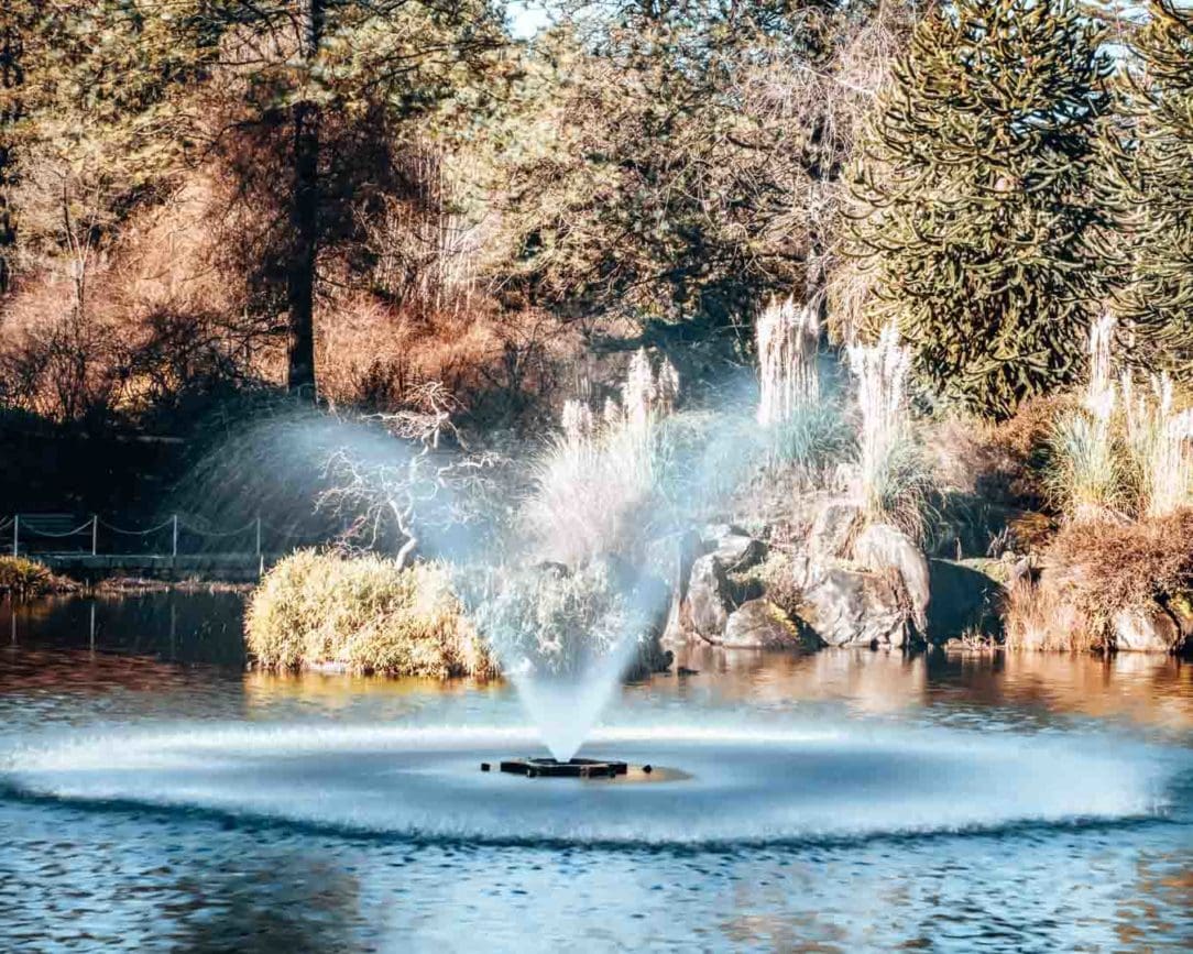 Vancouver Van Dusen Botanischer Garten