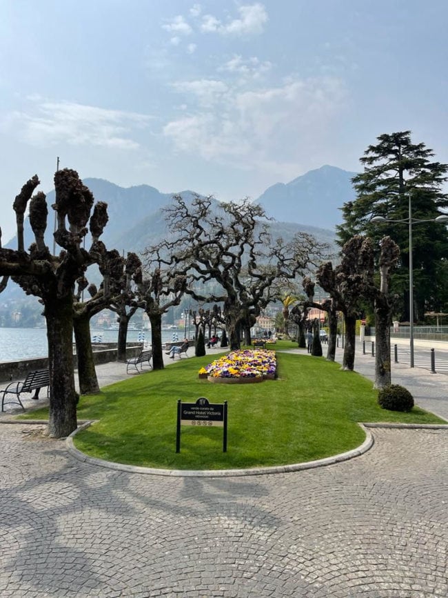 Comer See Menaggio Uferpromenade