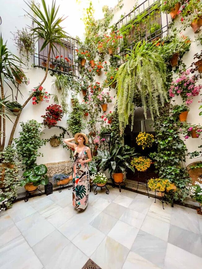 andalusien cordoba blumenpatio