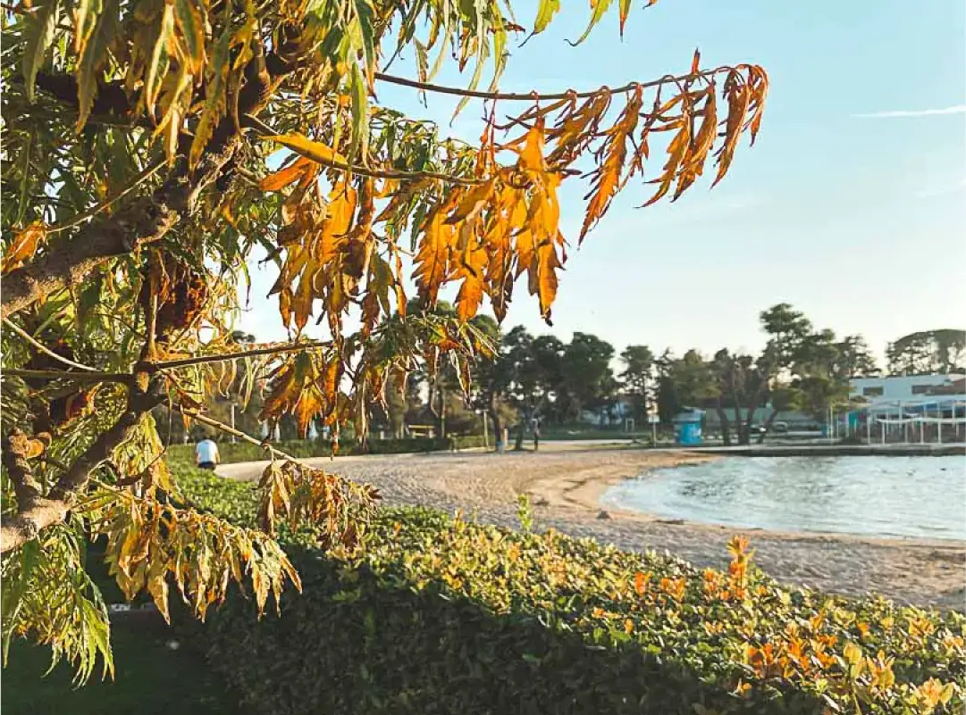 Zadar Strand Borik