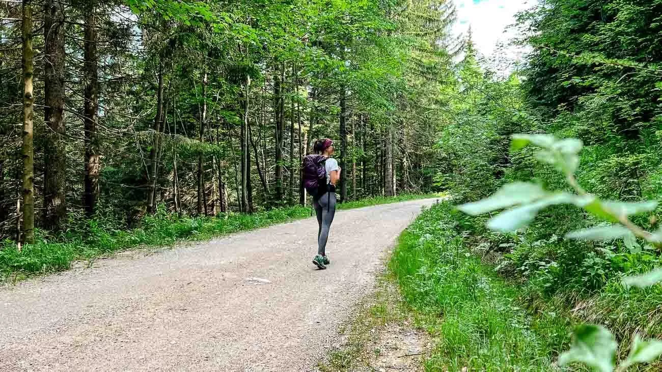 ötscher wanderung 5