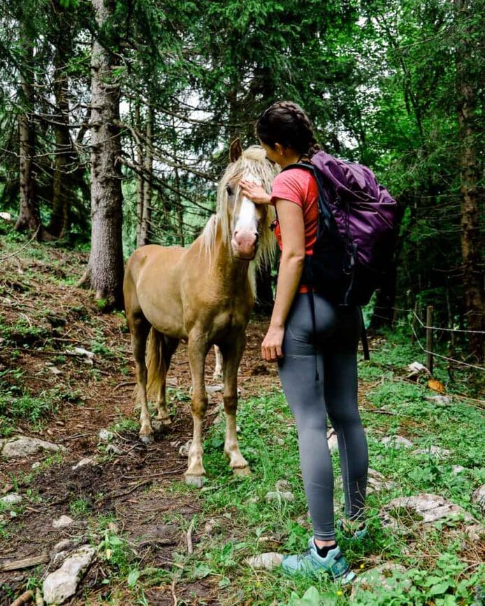 ötscherland herzerlweg annaberg pferde