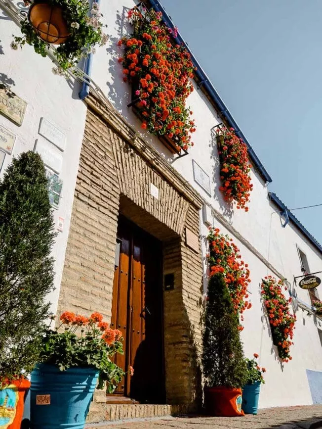 cordoba barrio de san basilio cordoba barrio de san basilio