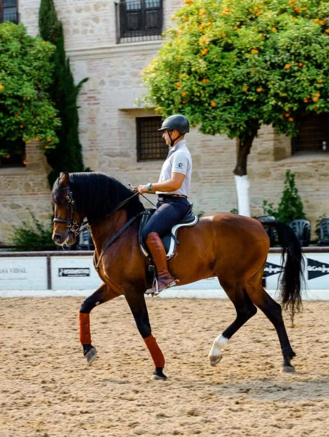 cordoba koeniglicher marstall reiter cordoba koeniglicher marstall reiter