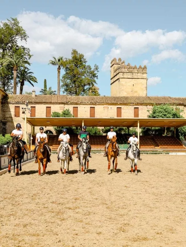 cordoba koeniglicher marstall training cordoba koeniglicher marstall training