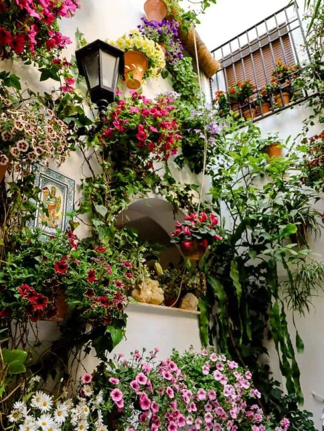 Córdoba Patios