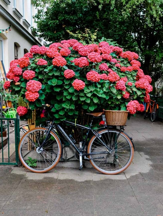 hamburg karoviertel 4