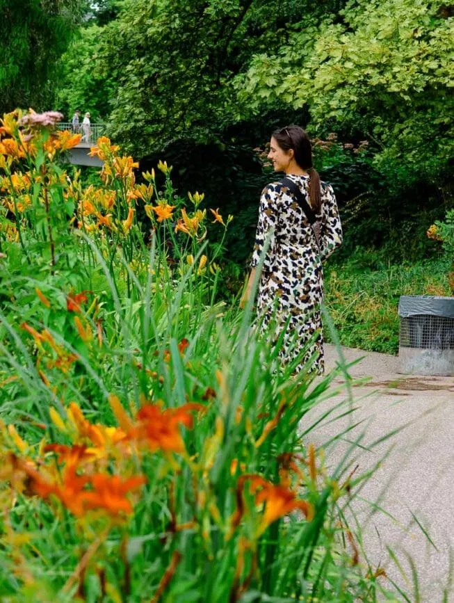 hamburg Planten un Blomen blumen