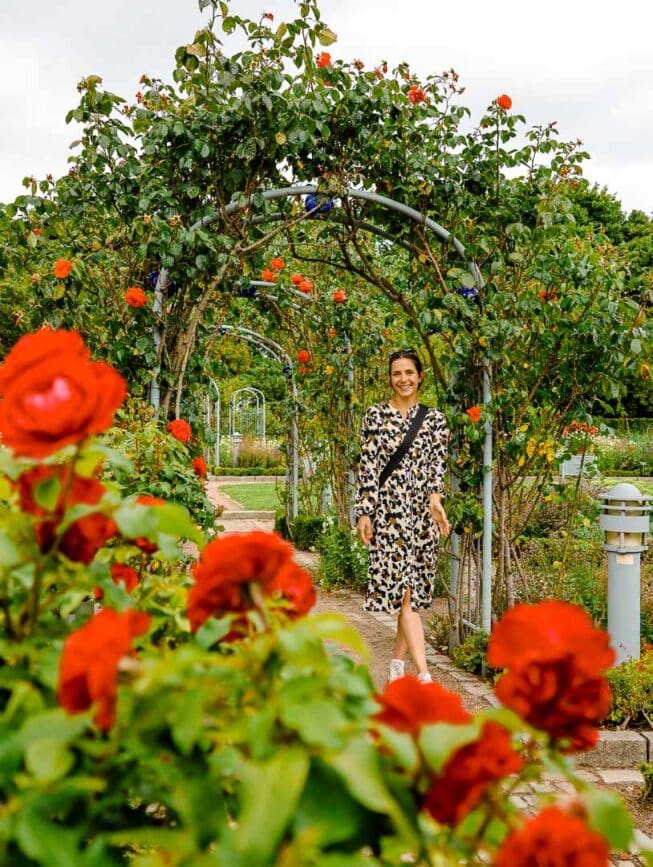 hamburg Planten un Blomen rosengarten