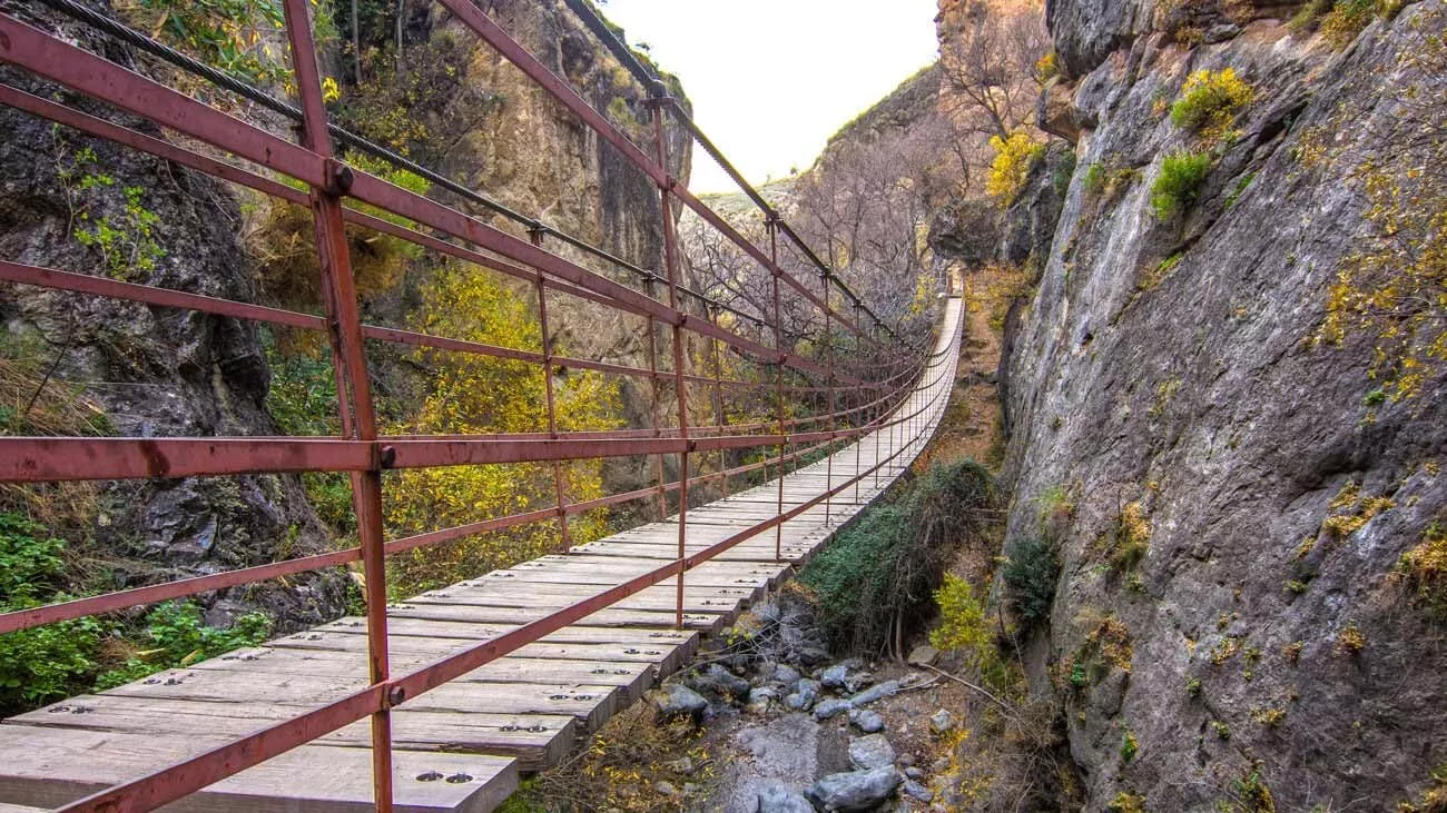 iStock 1174258050 jorge fuentes quero