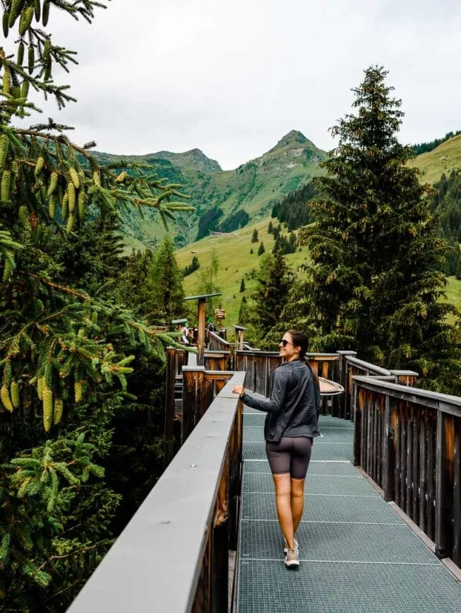 Saalbach Hinterglemm Baumzipfeweg