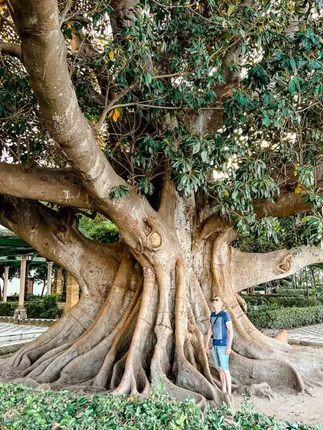 cadiz alameda apodaca park cadiz alameda apodaca park