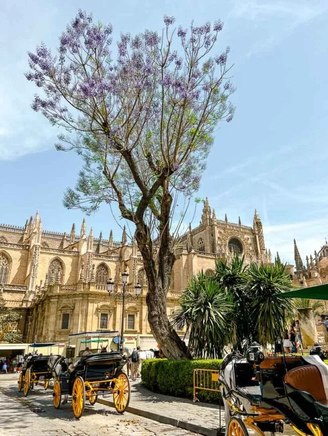 Sevilla Barrio de Santa Cruz