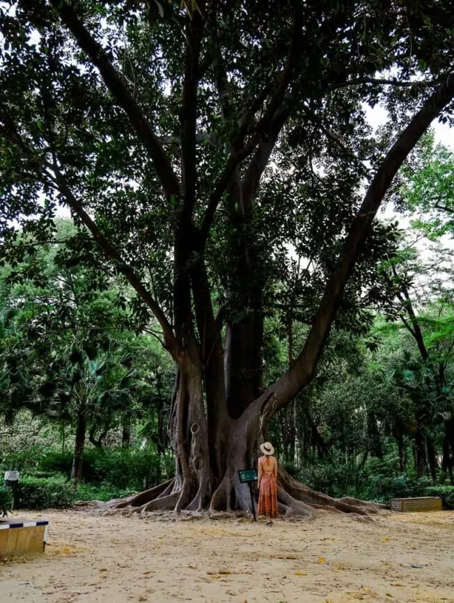 Sevilla Park Maria Luisa