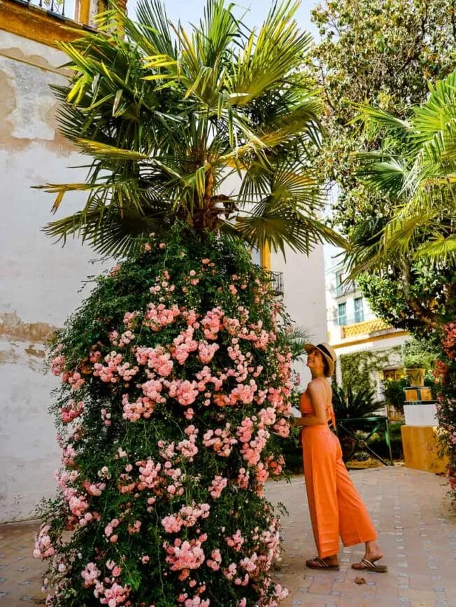 Sevilla Patio mit Palme